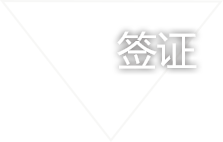 描述