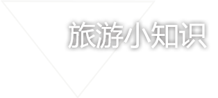 描述