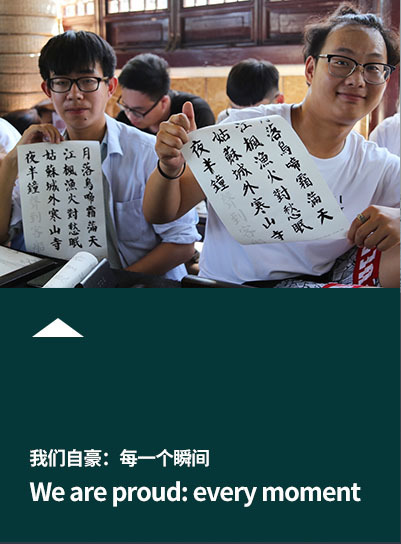 网站11