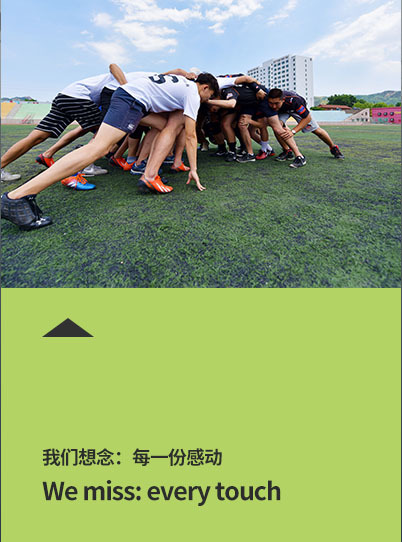 网站13