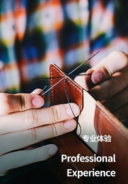 专业体验