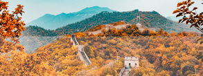 青岛高校国旅