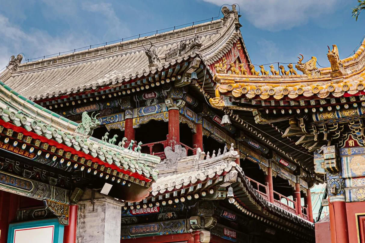 坚定理想信念，锤炼意志品质