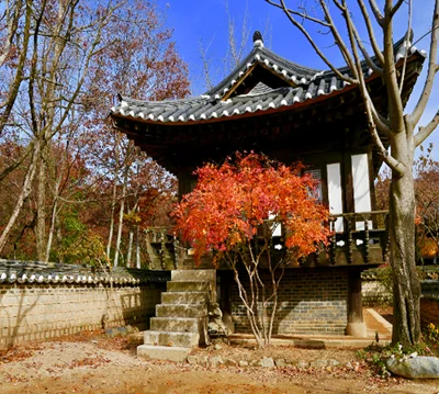 “行海外 观世界”之韩国文化探访实践课程