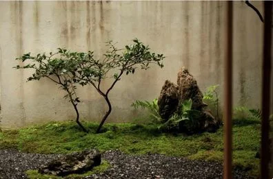 梨花淡白柳深青，柳絮飞时花满城！知习俗，忆清明