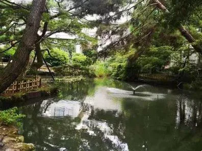 短暂又漫长的旅途，一切终将汇聚成最充盈的景象