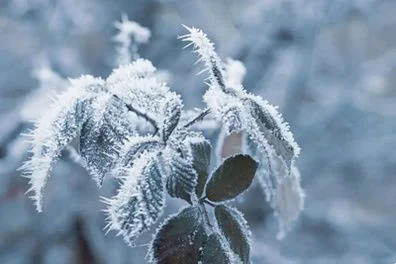 大雪至，寻找冬日岛城的些许浪漫...